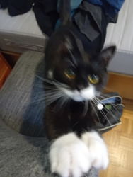 add4c17a-2eb1-403d-900c-16c079df4500