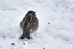 5cd42334-dd0a-4680-9f89-a040527d604d