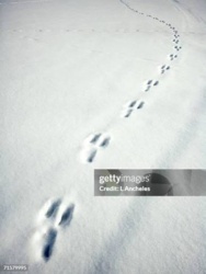 0aa37bcc-4d4d-4643-9f65-5f2db3237d91