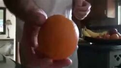 fe881350-4d11-4fdf-a69f-925cb6615d14