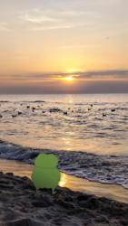 694e6f95-0a73-4713-9cf0-465403854f5c