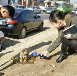 220414cb-e5d9-47a3-a947-dced56dd62c3