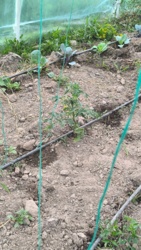 e7b16728-50cf-4e5d-af92-d2d1caada3a2