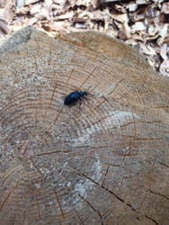 76b862c4-ecf4-4e32-a184-0774b787603c