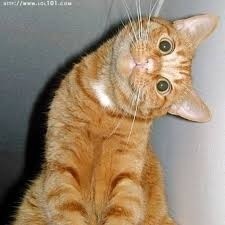 de00d352-df4d-40c9-ab5d-ebd5d0889f7c