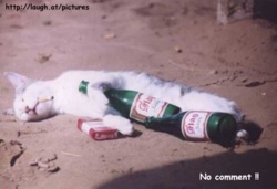 22b8a970-971a-4d89-abf6-be106eed3808