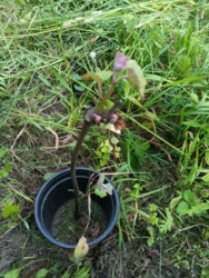 80558464-601c-4f7a-a8a9-14d0fad7a8fc