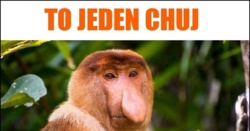 29739360-44cd-4853-94a7-332df00cd44b