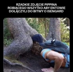 cf0898a5-5060-4c84-adde-584e21b40976