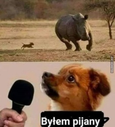 8dcf8fbf-2bbf-4f61-87cc-9bf3b1cf2897