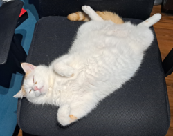 cd5659b2-c845-440d-a2a5-6b562004a79a