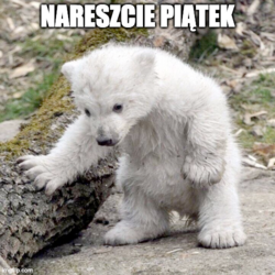 c1ff2321-1d7a-471d-88e0-9b2acc7b475a