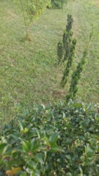 c1228dab-6854-4424-865c-16d48edaaedd