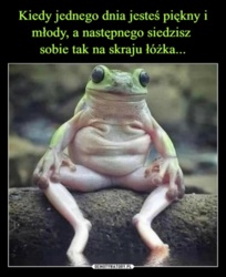 fc1f71be-91f3-4ce6-af8f-e5c1e156f249