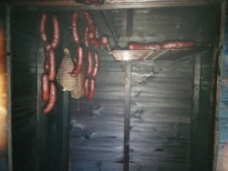 b9512bda-893b-457b-b69d-5811eeb8ea4b