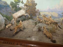 ffdcaafc-e43c-438f-a0e3-a5f0a0955ef7