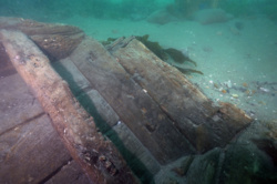 a4d9016f-4519-4382-ad5c-76a46c5a8394