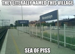 c2da1b30-efb6-40f1-84ef-801c260ae5ff