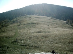 7593deab-46eb-4dfb-b5aa-8c92424e7b92