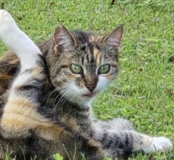 26a5ad5d-cfbf-463c-a484-0ded8771c332