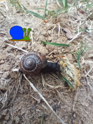 b5968e01-c927-48b0-96ba-687bc1504e79