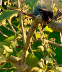 4e607684-1db8-4fdc-bdec-7b3ffabbfba9