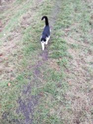 72a3a200-96fd-4dbd-9a46-6ec1709fd108