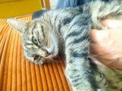 50318fbc-21e3-407b-ab6a-4f4c05f6b63a