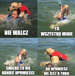 f8f78f2b-a044-4002-94be-66c6de5587aa