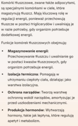 9d4b91bf-a9f1-40c6-b5c9-e2831ed40d56