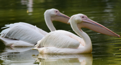 0365ec31-1a47-4d04-8ac9-36fa7caaf345