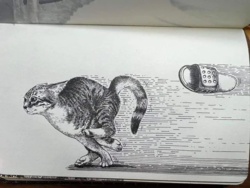 61d9da62-91e3-4236-abf0-0add6db05bc2