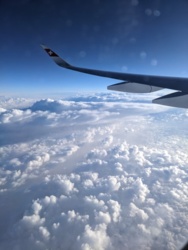 4f158391-56f7-495e-b2ed-0a6fcc04d172