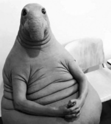 0a62933a-a4d7-45a5-b45b-f71cb2b2176a