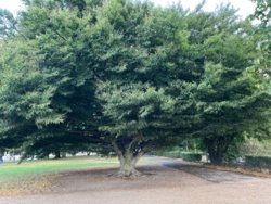 bbb456b2-3bf5-44ce-9b8d-d0c5fc19c2cb