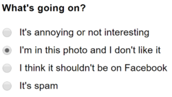 784831ad-22a0-44d3-ba0a-f49fe4574ec7