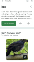 37dc86d2-4f5d-40cb-9a49-17b0da04e427