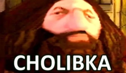 b5c61607-e7cd-4eef-83c4-e0694eafc5e4