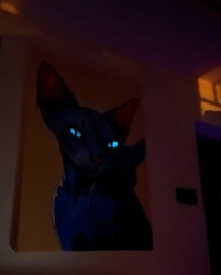 b42b215b-bcc9-497b-af2b-7ac4aabfeb10