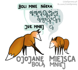 65c60911-7118-43bf-a805-dfee4fc16a1d