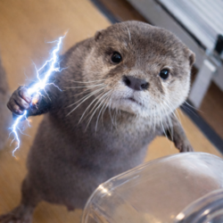 bcd47fe7-2375-4a90-853b-8524043a1aa2