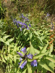 fffcd540-55d4-4219-9d09-c8eae0348f8a