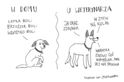 e4be8a35-fc0c-42a4-90ed-cffafbd8972d