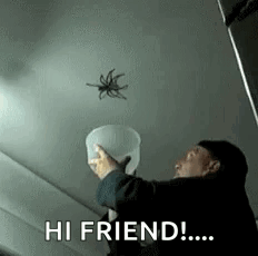 75f708f5-107a-4a0c-9f26-7d9da49ae0e4