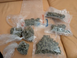 c5b1f898-4dfa-4ada-b18e-f54da0c8493a