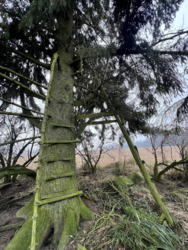 6a0b88f2-0d8e-47f7-9002-d93fd57b1b5a