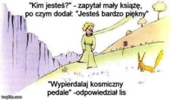 31f53f74-fcd2-4252-91ab-c486cffc221c