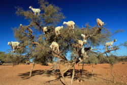 09242194-3b61-4011-950a-8295b0d1fb83