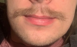 4783d910-11b5-47d2-b130-1d47d3ef6746