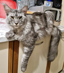 c8b92490-6cee-4953-8490-e2ec712ccac2